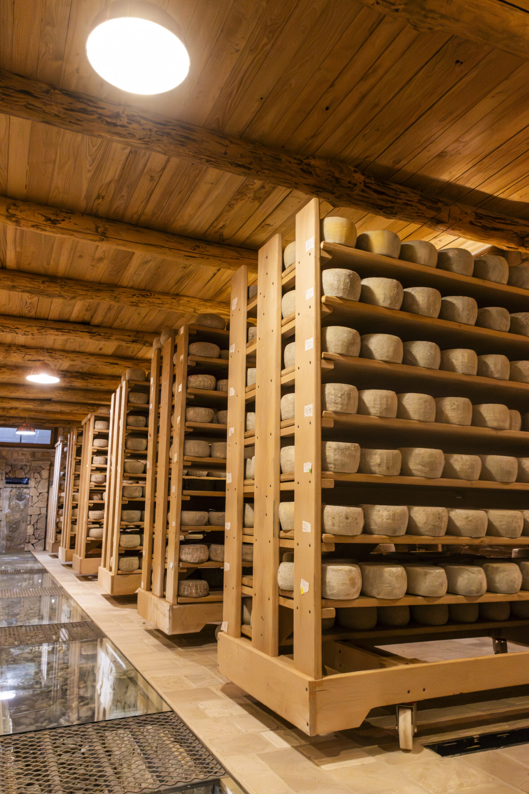 7BCC1029-Migliorato-NR